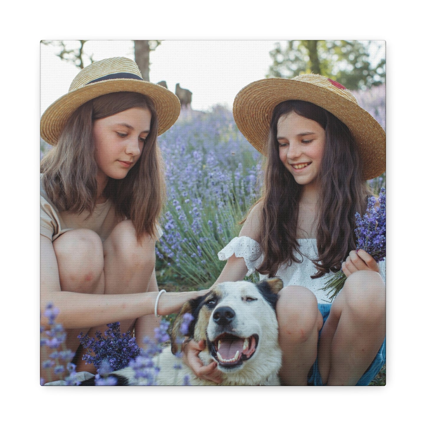 12"x12" Square Canvas Print